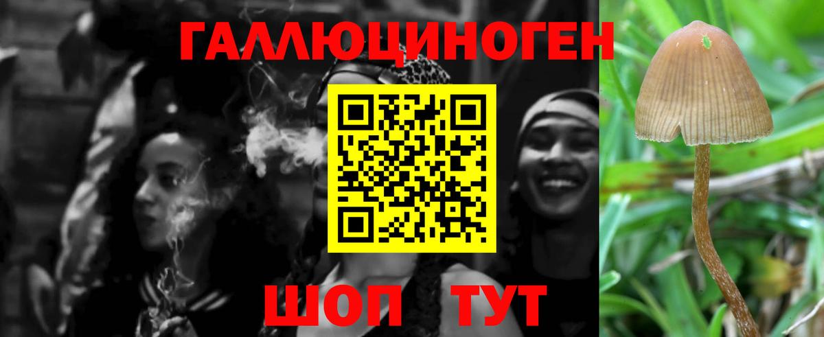 Псилоцибиновые грибы GOLDEN TEACHER  Вход с VPN  Протвино  Псилоцибиновые грибы Magic Shrooms 